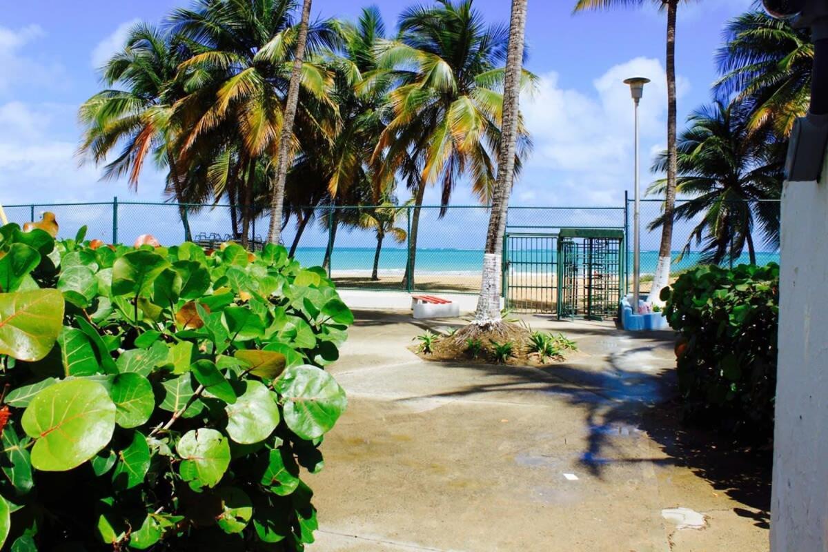 2Br Gem Ocean Front Building Isla Verde Beach San Juan Exterior foto